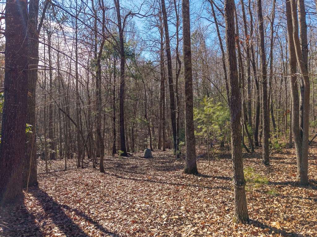 155 Becky Road Blairsville, GA 30512 - Photo 11 of 26