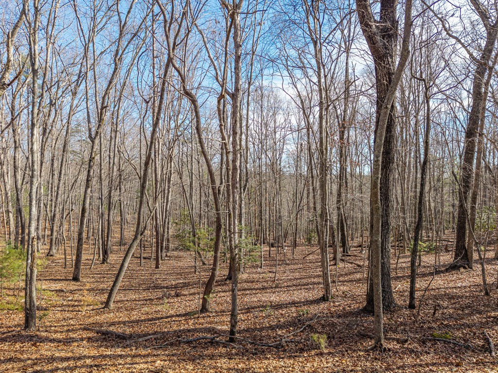 155 Becky Road Blairsville, GA 30512 - Photo 12 of 26