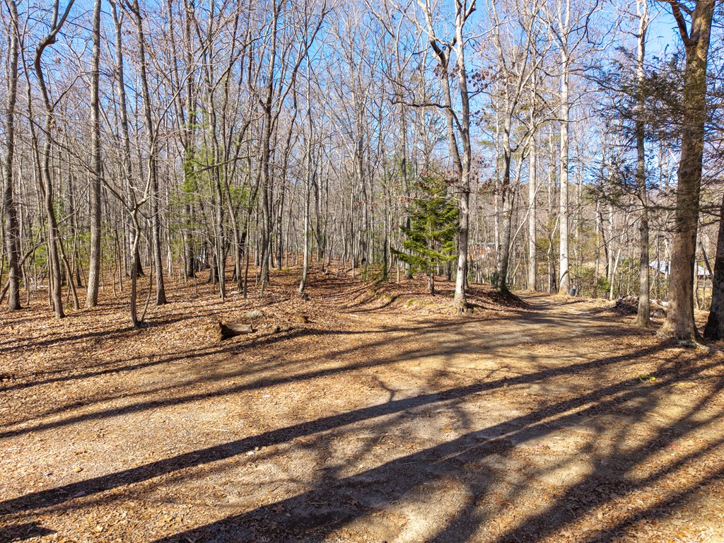 155 Becky Road Blairsville, GA 30512 - Photo 13 of 26