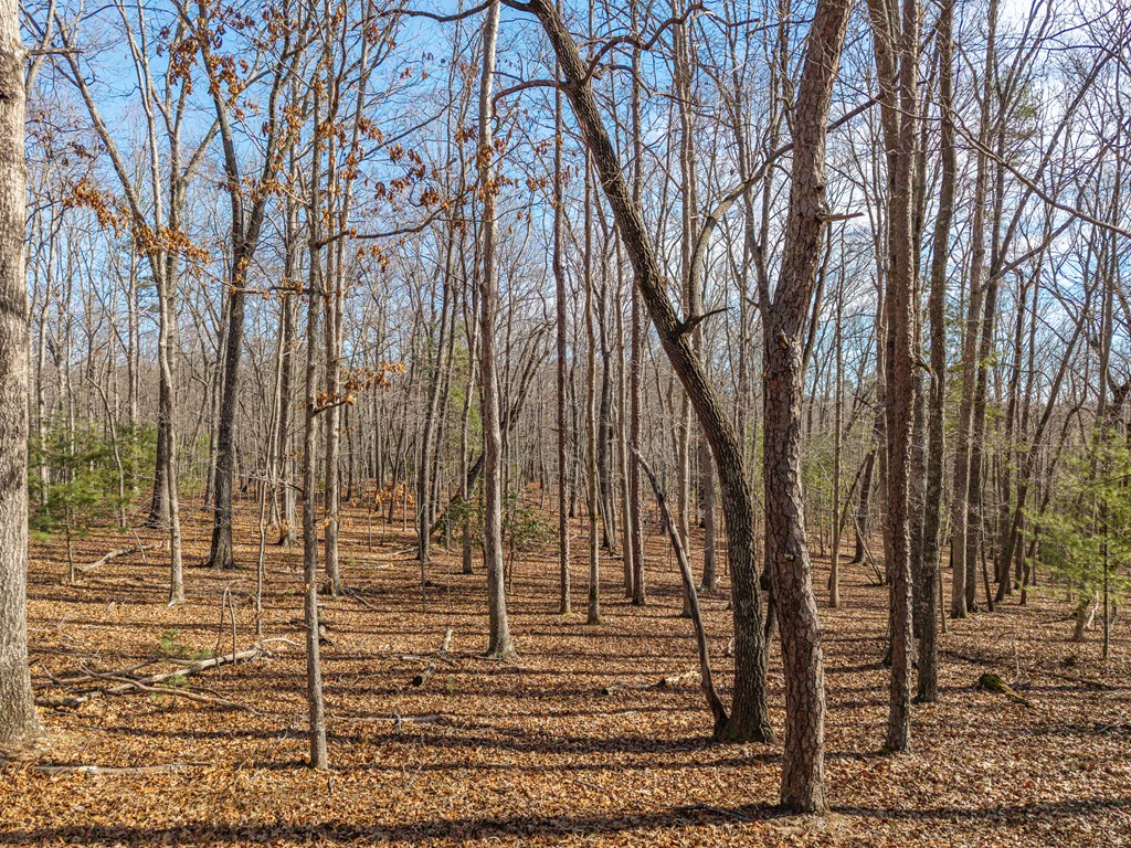 155 Becky Road Blairsville, GA 30512 - Photo 15 of 26