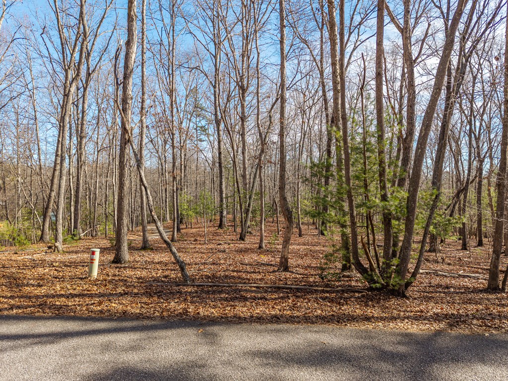 155 Becky Road Blairsville, GA 30512 - Photo 20 of 26