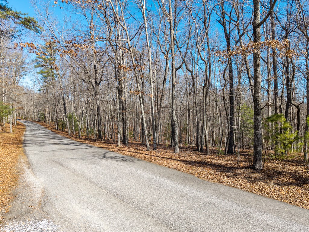 155 Becky Road Blairsville, GA 30512 - Photo 3 of 26