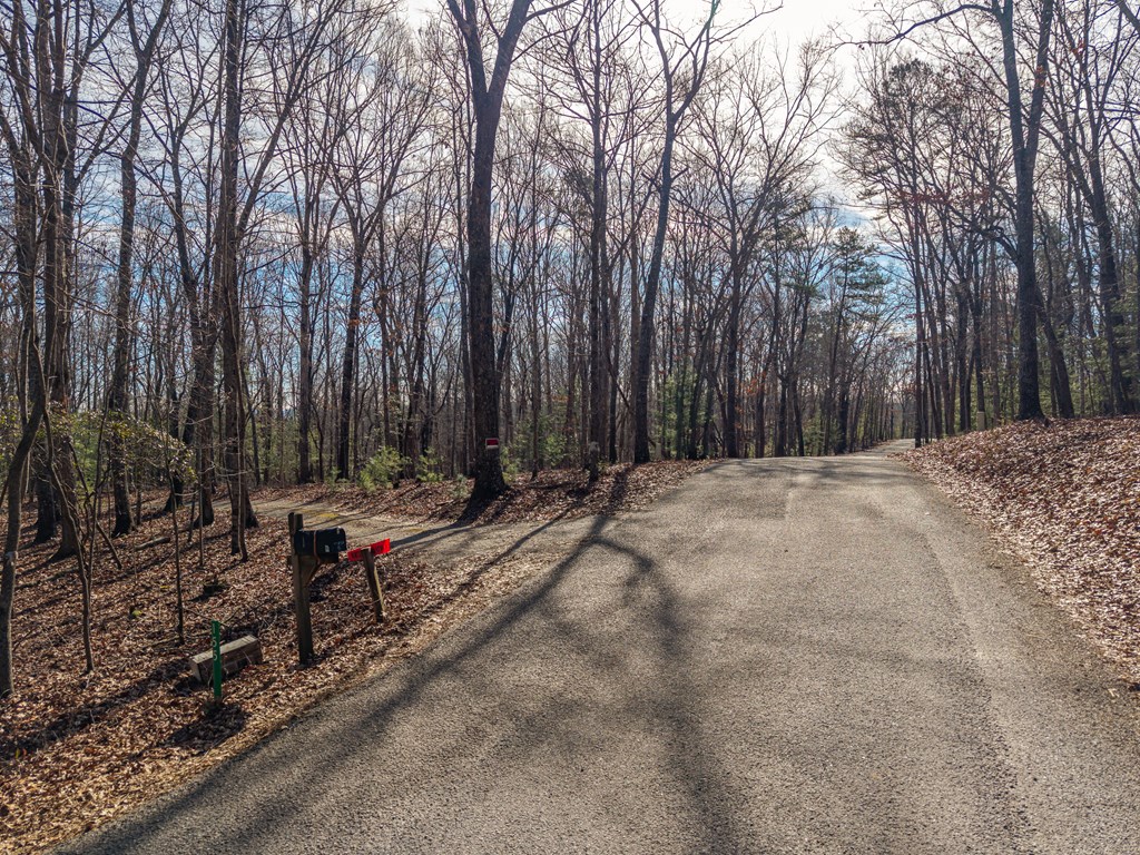 155 Becky Road Blairsville, GA 30512 - Photo 4 of 26