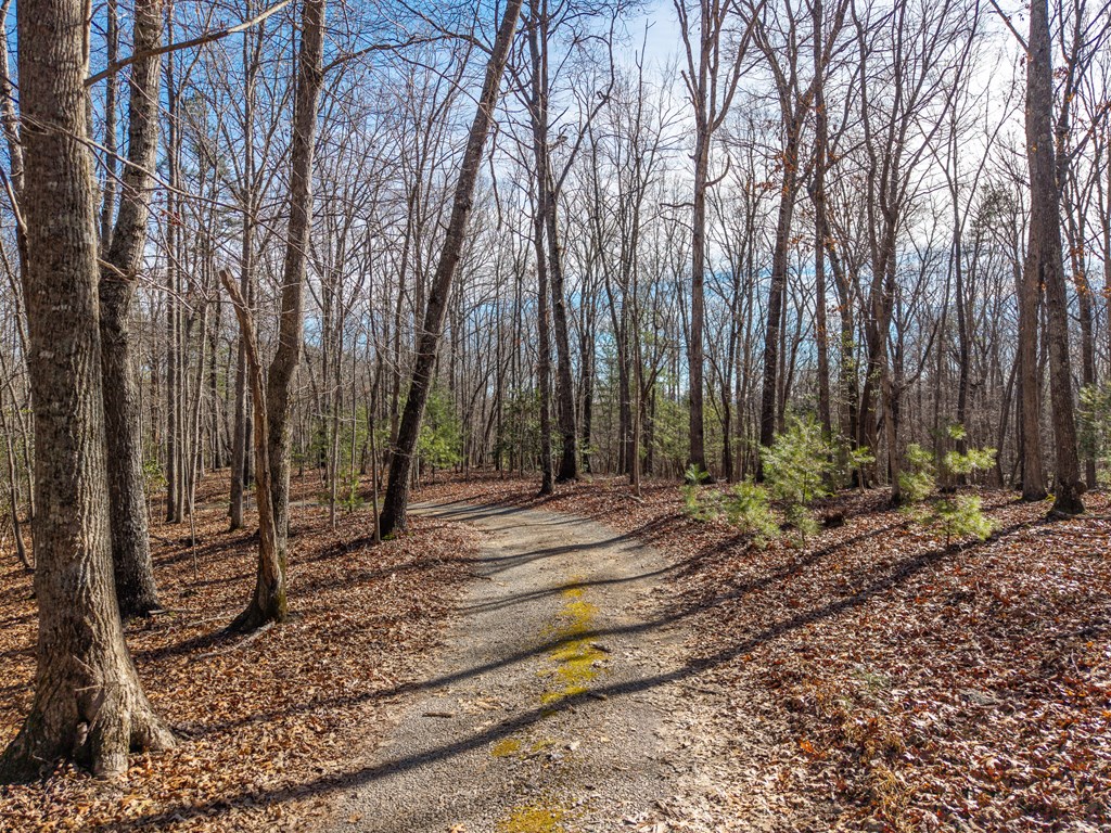 155 Becky Road Blairsville, GA 30512 - Photo 9 of 26