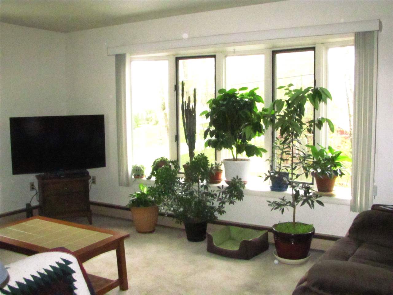 1 Cardinal Place Rutland, VT 05701 - Photo 5 of 25