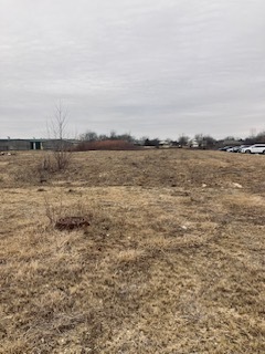 2.54 Ruth Road Huntley, IL 60142 - Photo 6 of 9