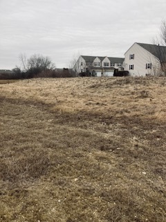 2.54 Ruth Road Huntley, IL 60142 - Photo 8 of 9