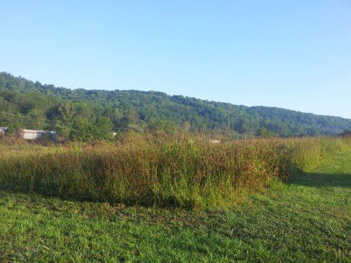 445 Beard Valley Road Maynardville, TN 37807 - Photo 11 of 11 Additional Photo