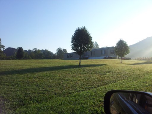 445 Beard Valley Road Maynardville, TN 37807 - Photo 10 of 11 Additional Photo