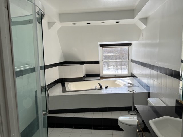 14935 West Old School Road Mettawa, IL 60048 - Photo 41 of 65 a bathroom with a sink toilet and shower