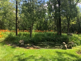 14935 West Old School Road Mettawa, IL 60048 - Photo 58 of 65 a view of backyard with green space