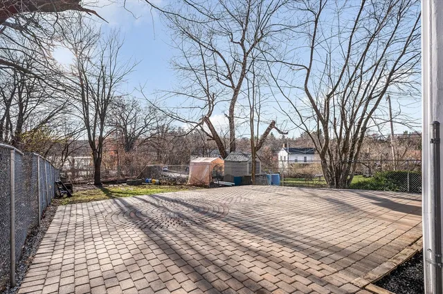 a street view with large trees