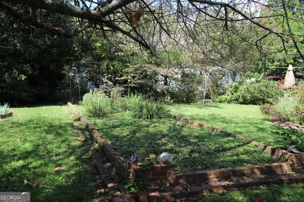 a view of a potted plants and large tree