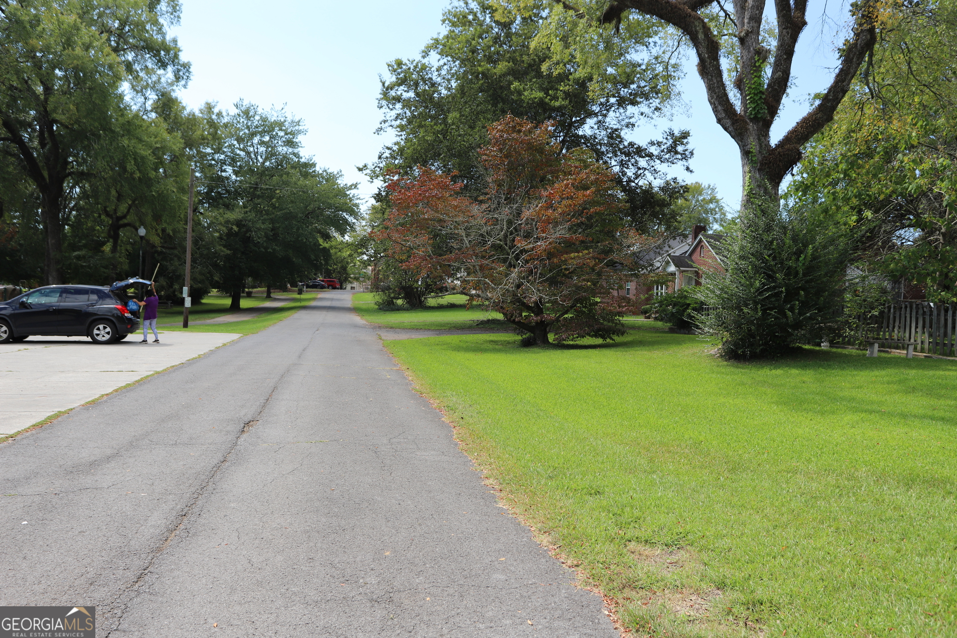 360 Edison Street Menlo, GA 30731 - Photo 20 of 64 a view of a park with large trees