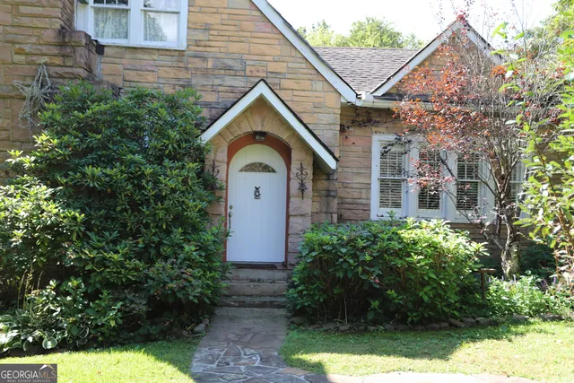 a lush green forest with lots of trees