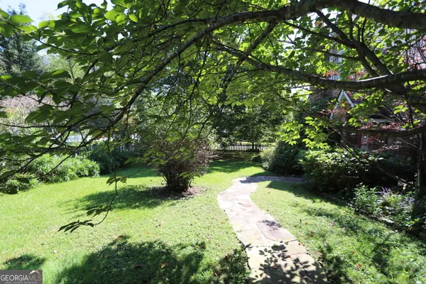 a view of a garden with plants