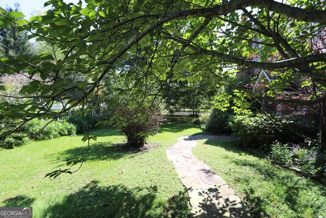 a view of a garden with plants