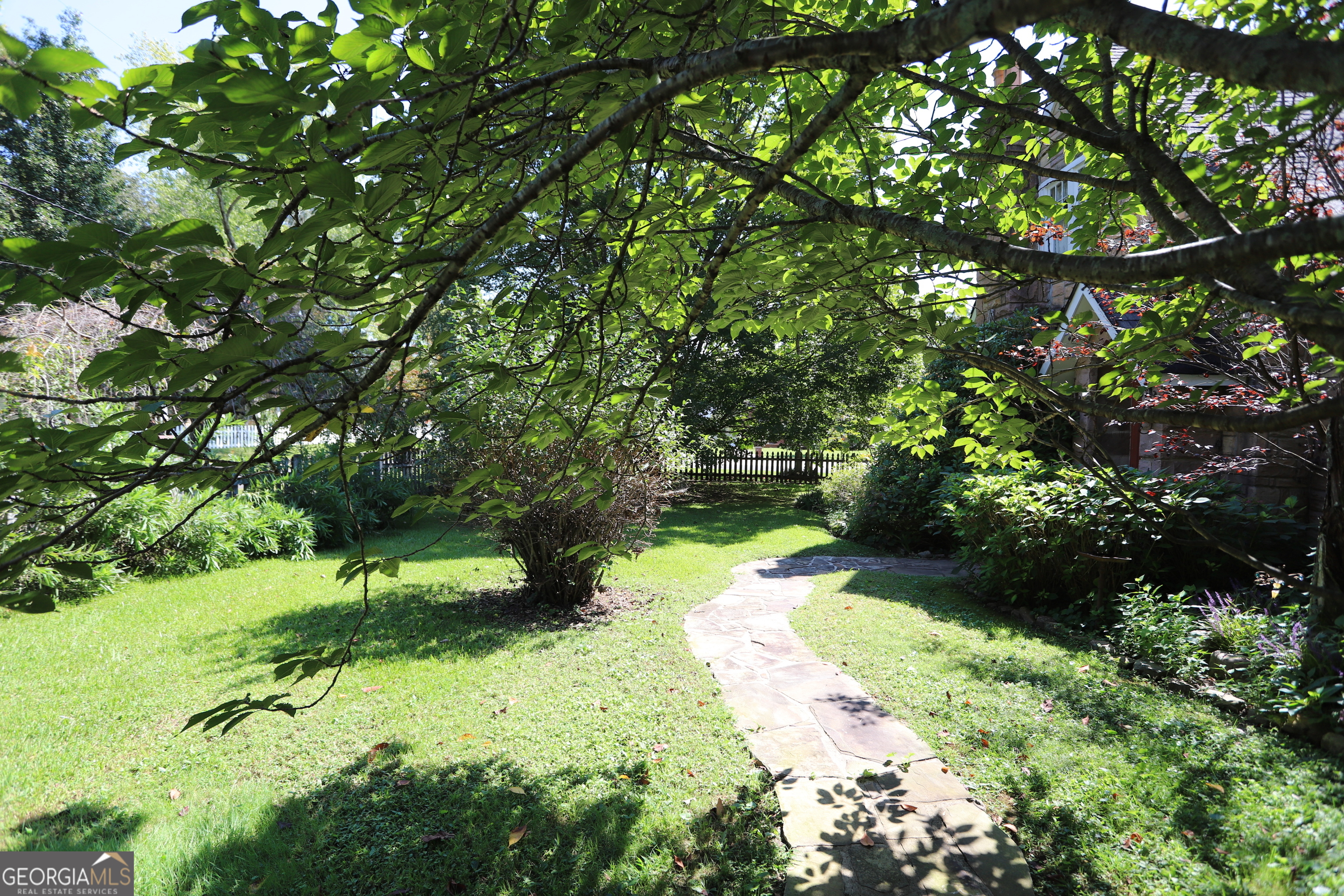 360 Edison Street Menlo, GA 30731 - Photo 4 of 64 a lush green forest with lots of trees