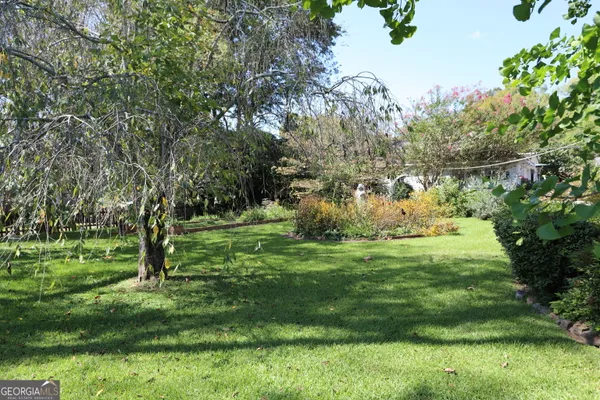 a view of a pathway of a park