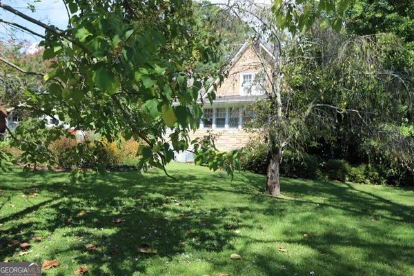 a view of a garden with plants