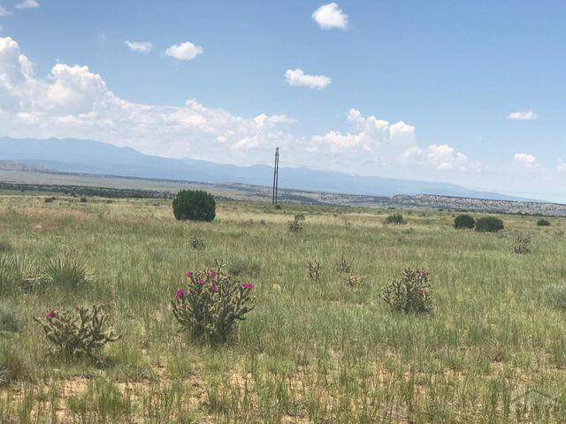 Lot 66 Turkey Ridge Ranch Walsenburg, CO 81089 - Photo 1 of 9