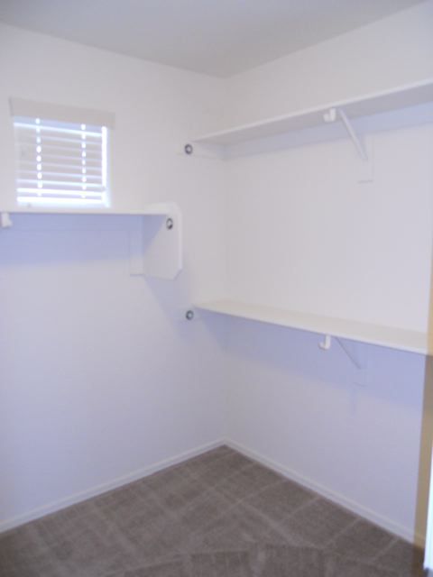 8911 West Payson Road Tolleson, AZ 85353 - Photo 9 of 12 Walk in Closet