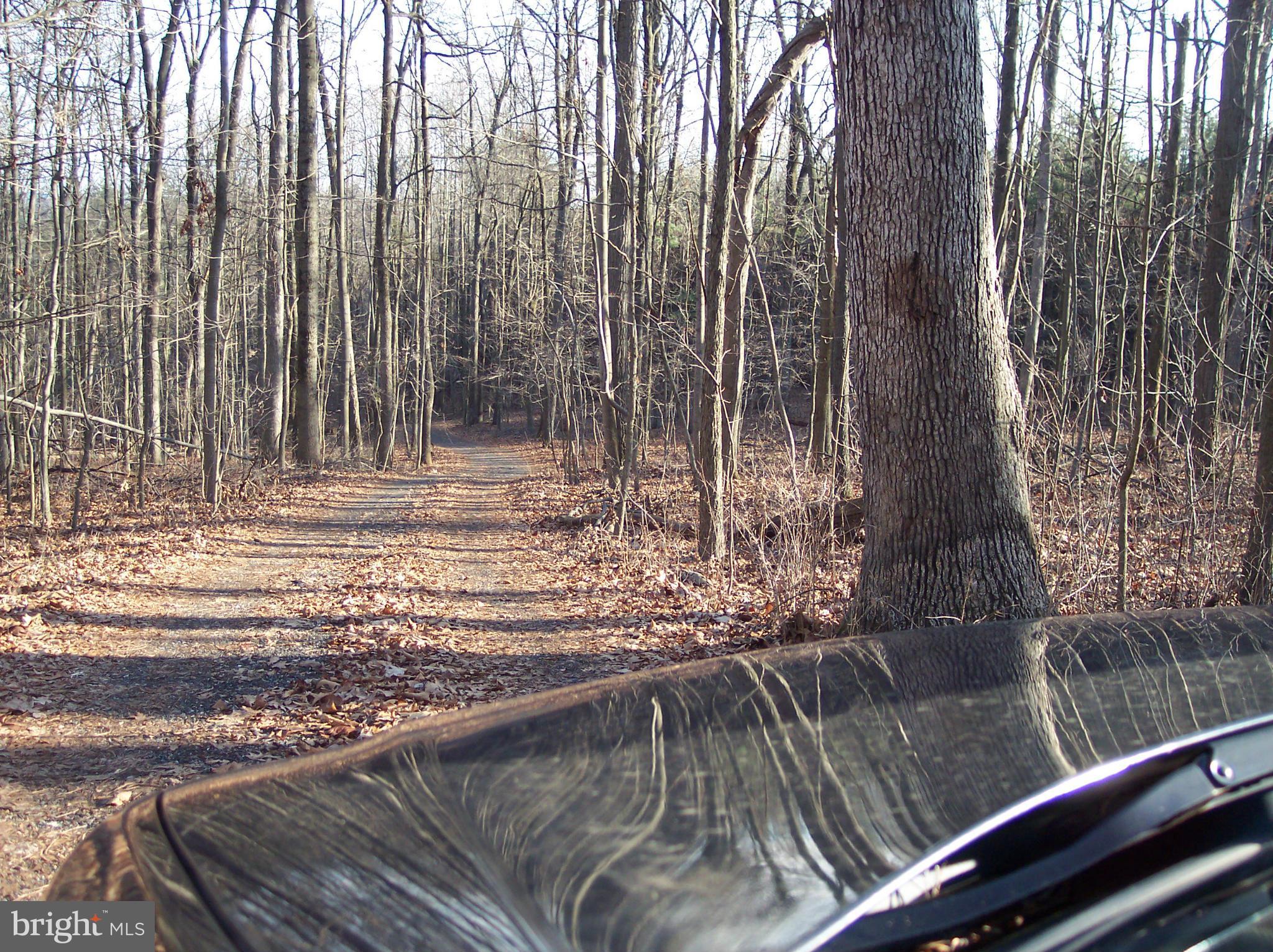 3843 Rinehart Road Westminster, MD 21158 - Photo 2 of 28 Ride up the tree lined drive to your new home