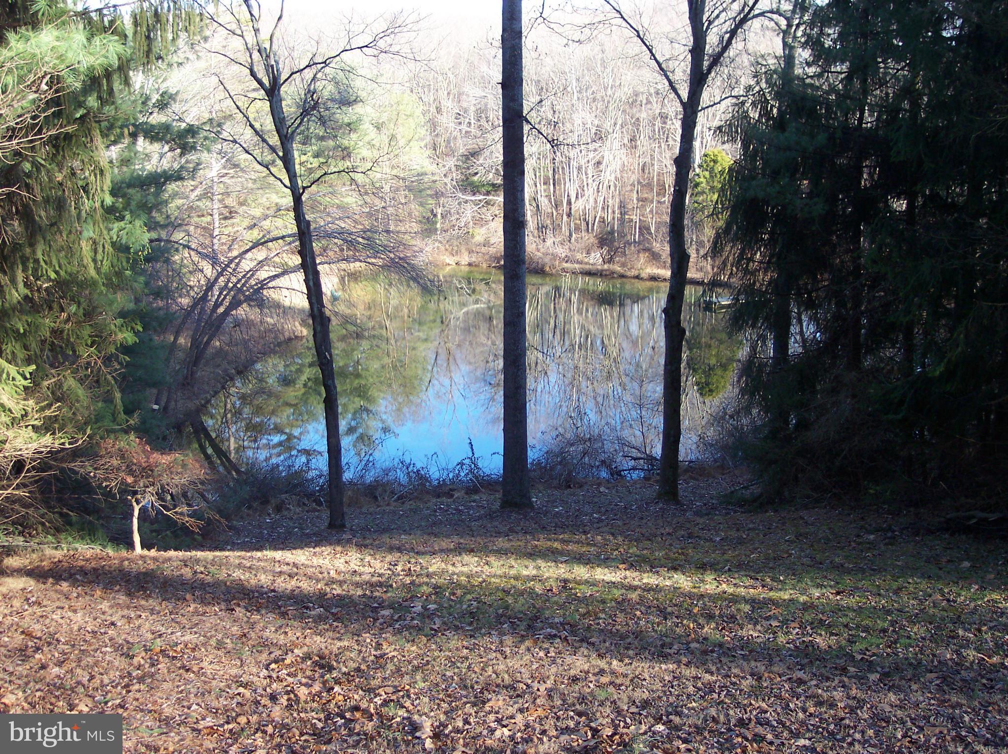 3843 Rinehart Road Westminster, MD 21158 - Photo 8 of 28 A little closer look of the pond