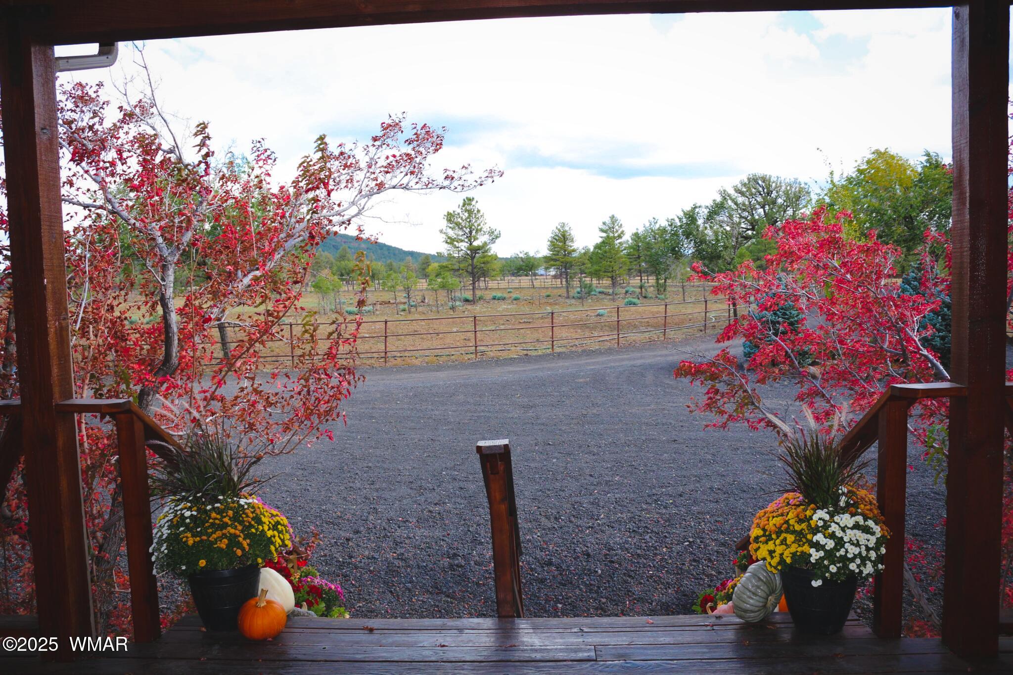 422 Sponseller Siding Road Pinetop, AZ 85935 - Photo 10 of 84 View From Front Door