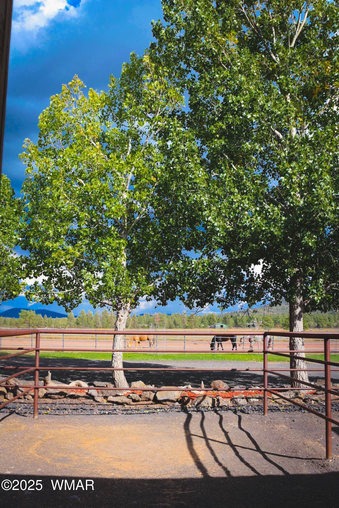 422 Sponseller Siding Road Pinetop, AZ 85935 - Photo 55 of 84 View From Stable