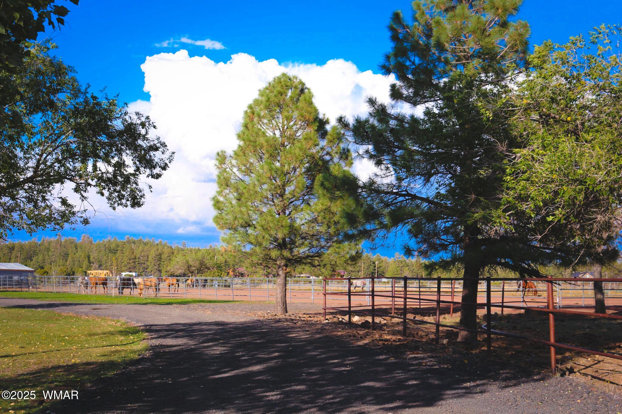422 Sponseller Siding Road Pinetop, AZ 85935 - Photo 80 of 84 Road to Stables