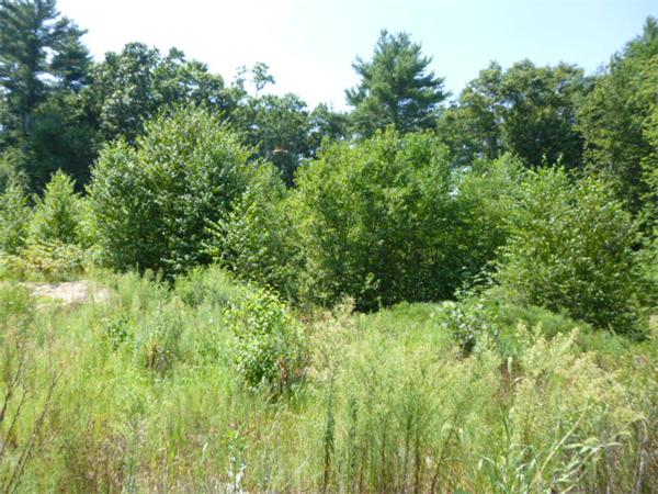 87 Azalea Way Hanson, MA 02341 - Photo 2 of 3 Gallery Image 2