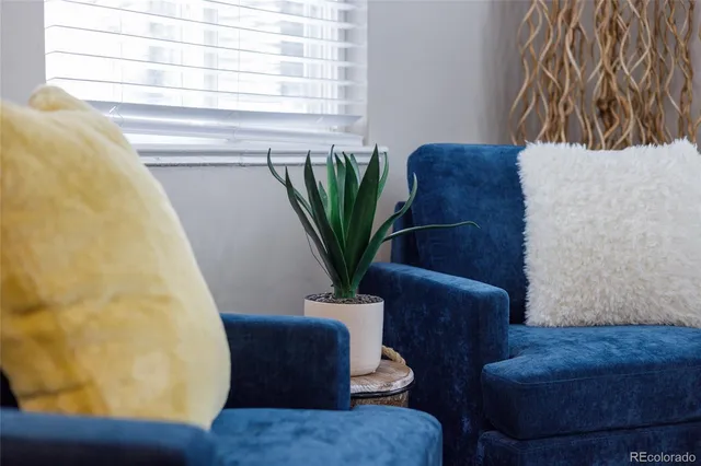 a view of a living room with furniture and a potted plant