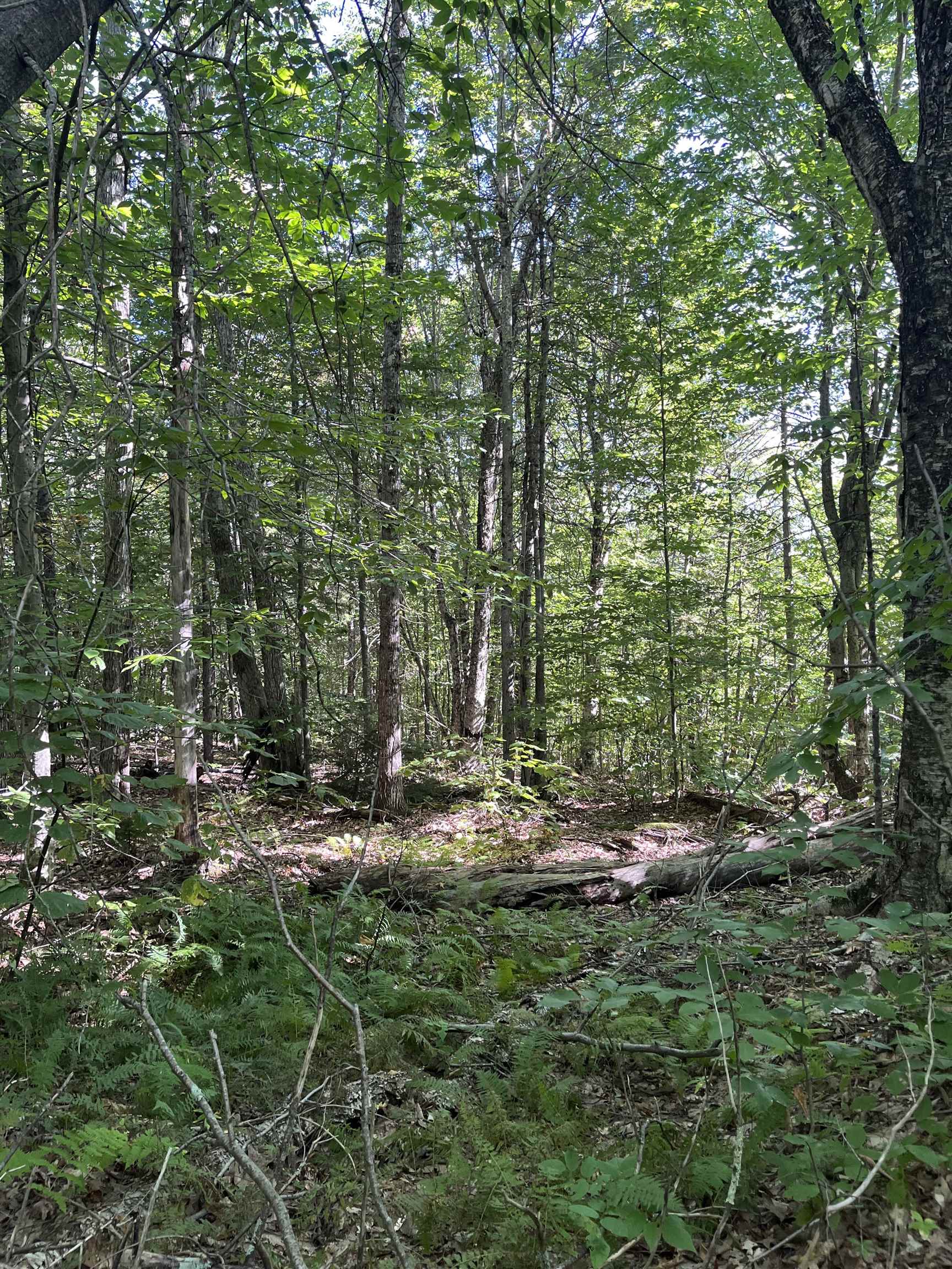 69-1 Nh 03280 Road Washington, NH 03280 - Photo 1 of 11