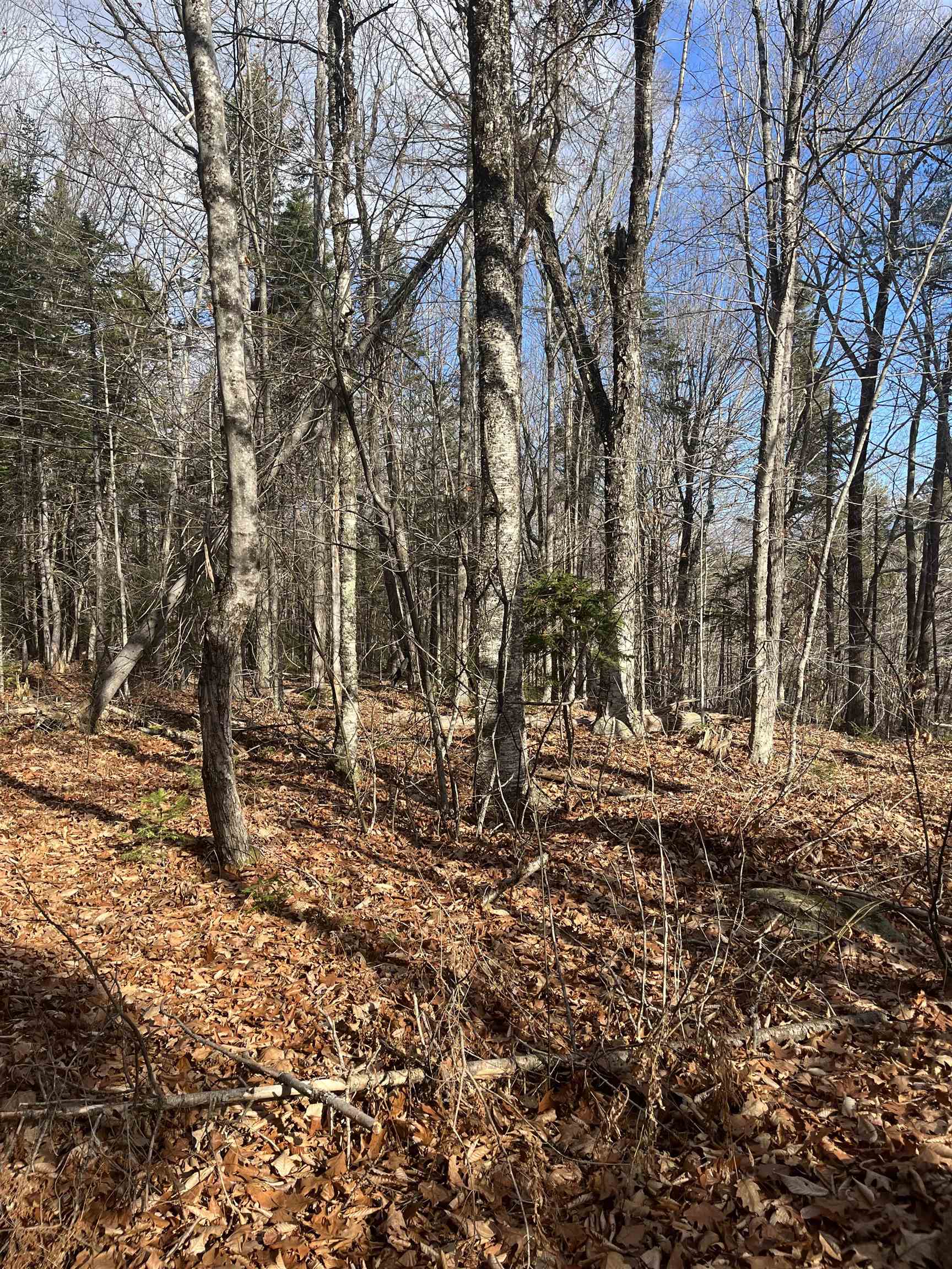69-1 Nh 03280 Road Washington, NH 03280 - Photo 2 of 11