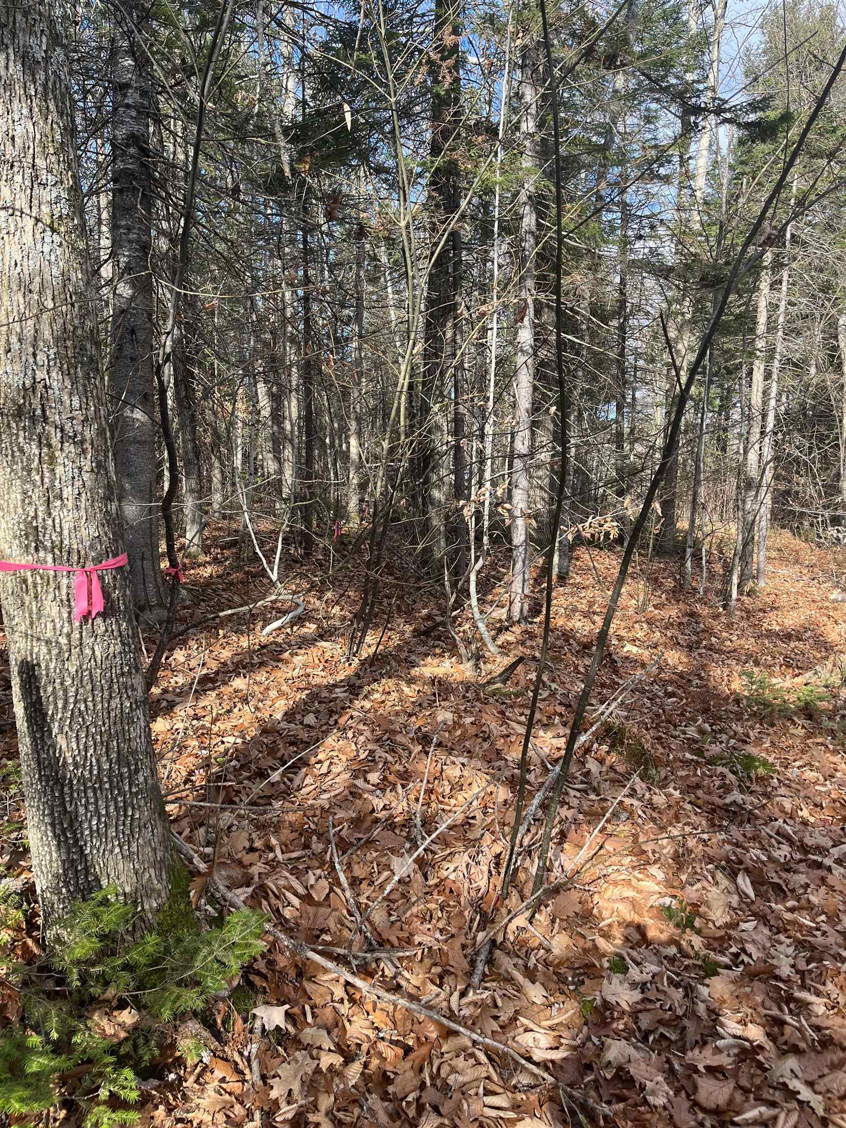 69-1 Nh 03280 Road Washington, NH 03280 - Photo 3 of 11