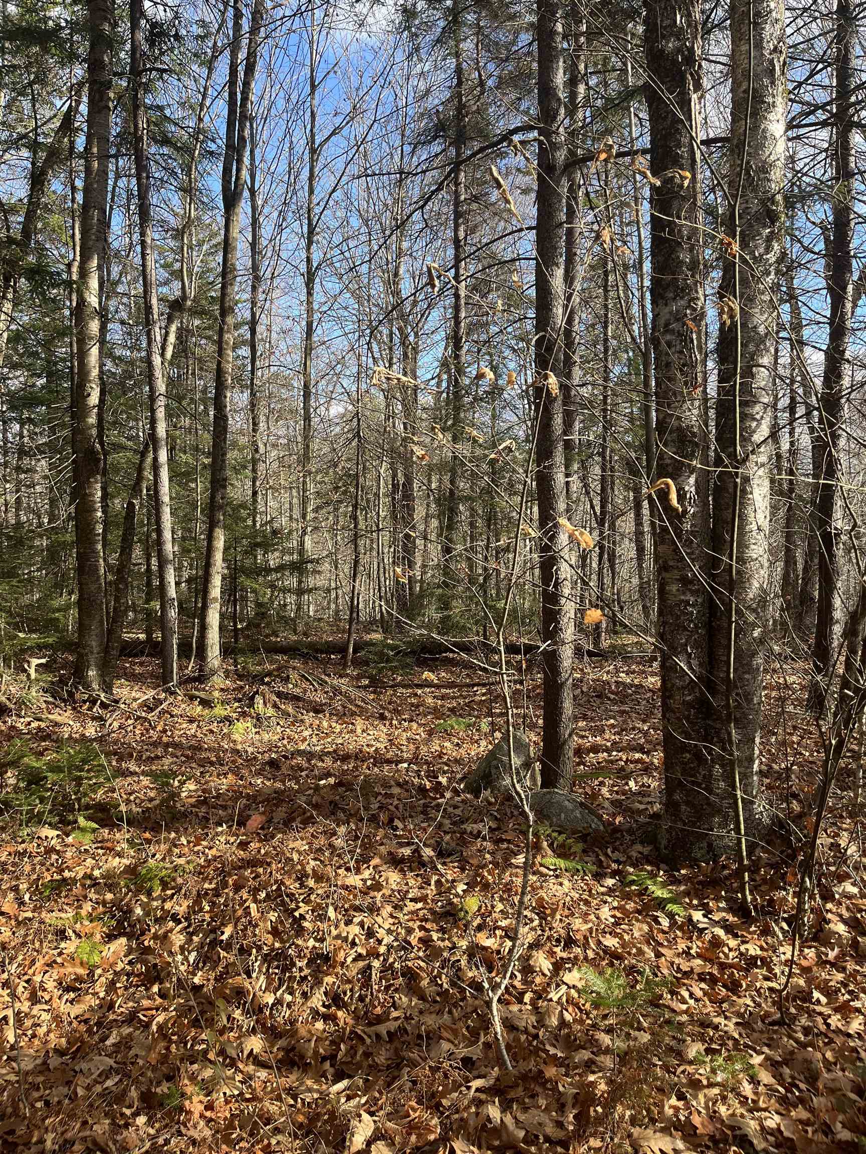 69-1 Nh 03280 Road Washington, NH 03280 - Photo 4 of 11
