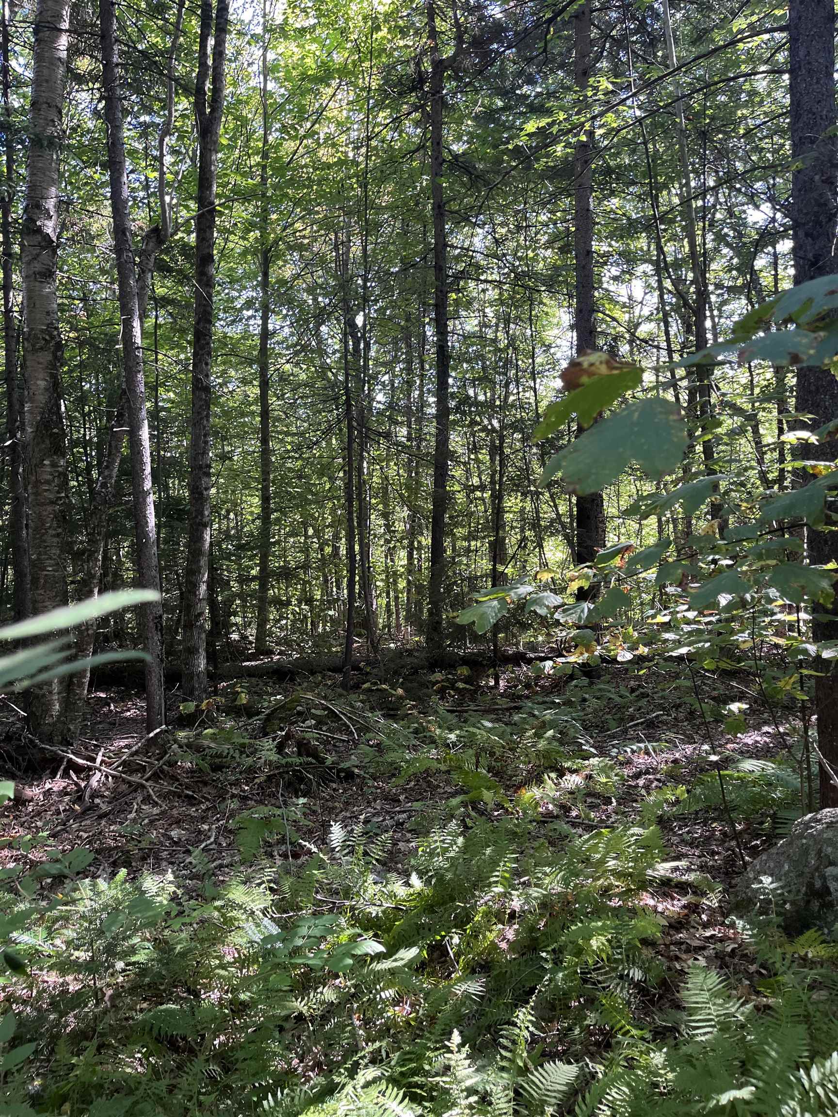 69-1 Nh 03280 Road Washington, NH 03280 - Photo 7 of 11