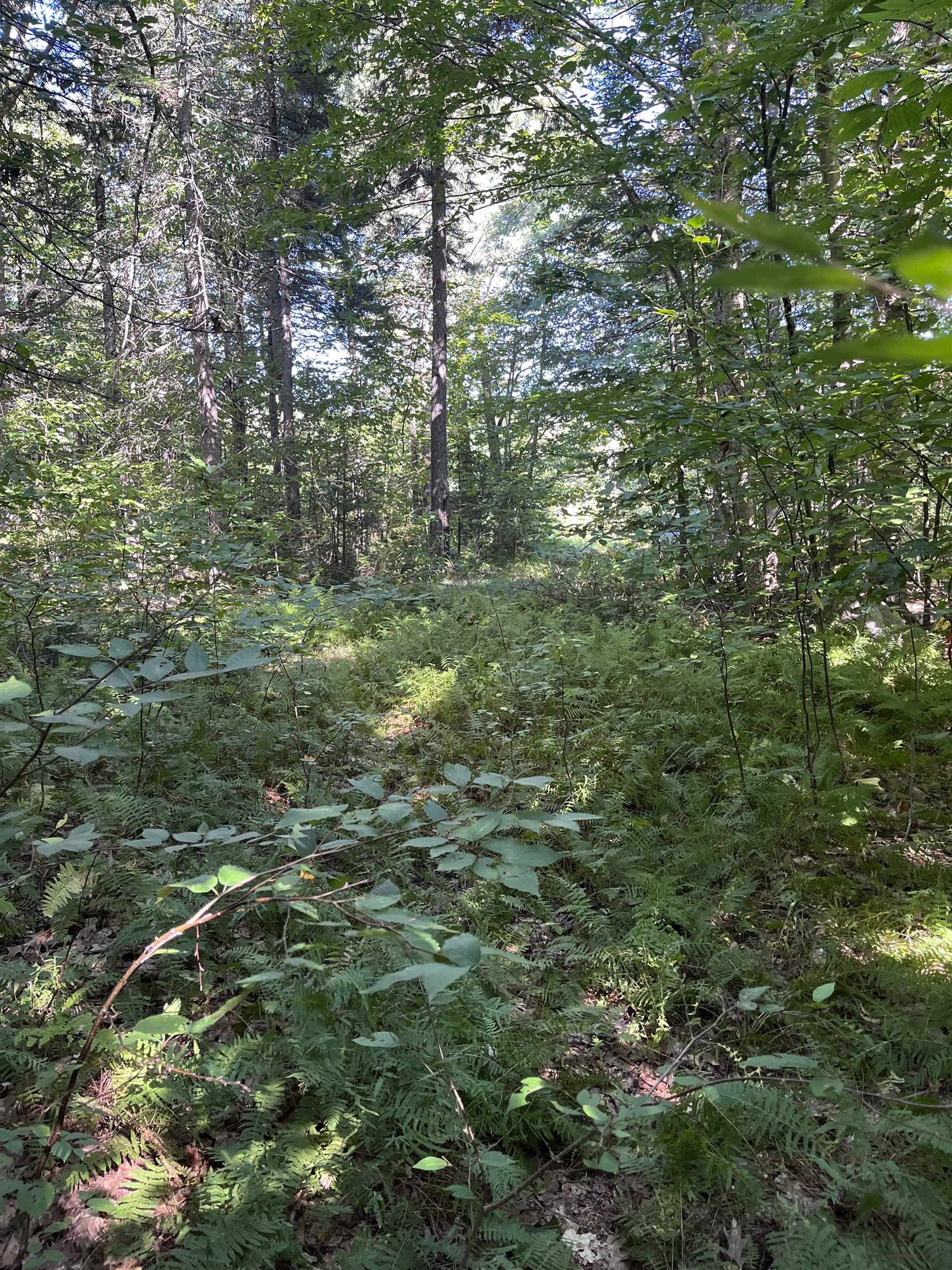 69-1 Nh 03280 Road Washington, NH 03280 - Photo 8 of 11