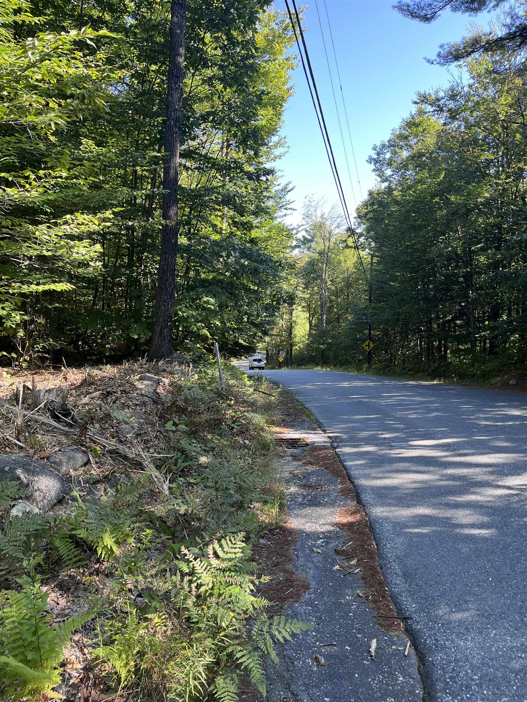 69-1 Nh 03280 Road Washington, NH 03280 - Photo 9 of 11