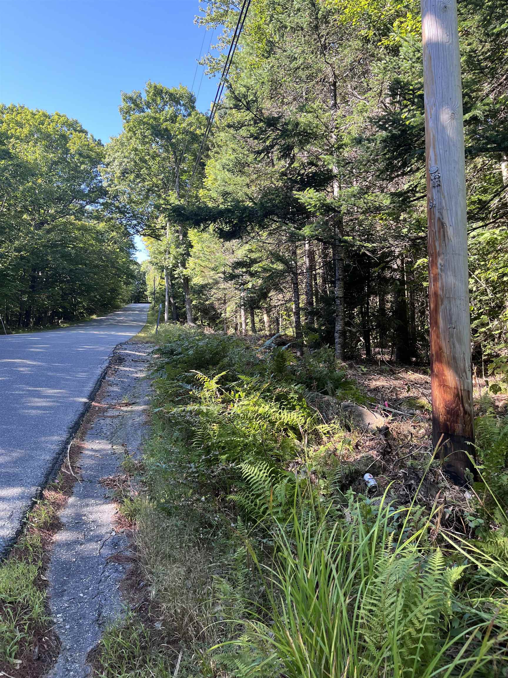 69-1 Nh 03280 Road Washington, NH 03280 - Photo 10 of 11
