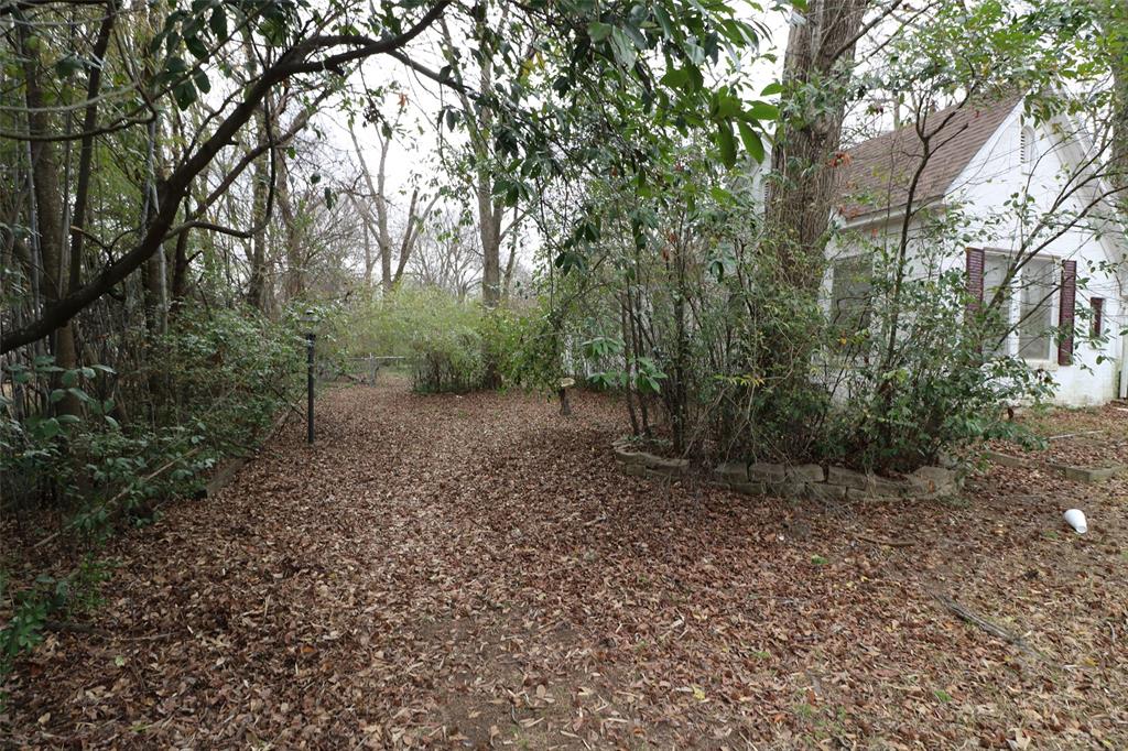 2332 Simpson Street Paris, TX 75460 - Photo 11 of 16 a view of a forest with trees in the background