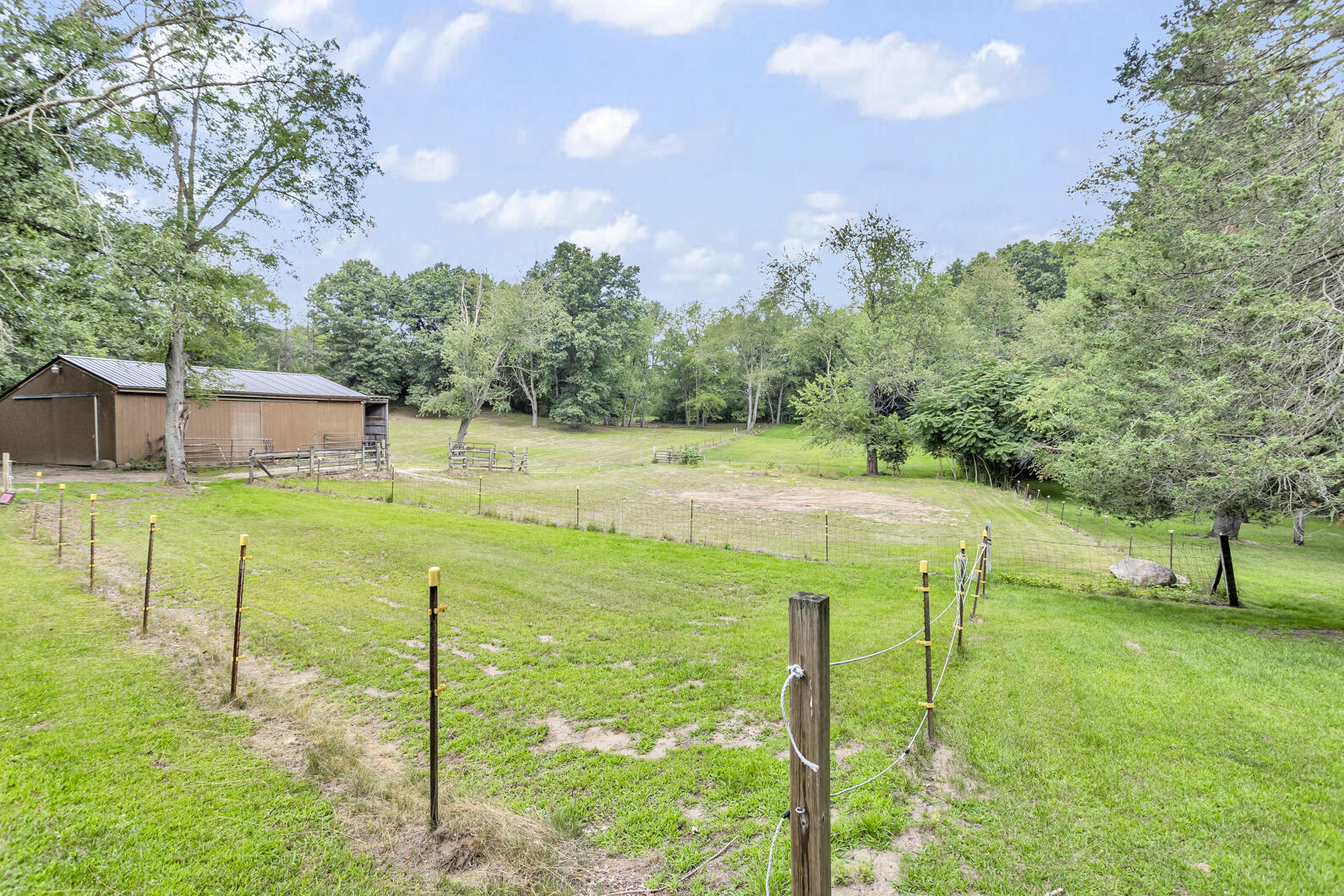 19272 Sandborn Road Manchester, MI 48158 - Photo 60 of 65 0N0A2314