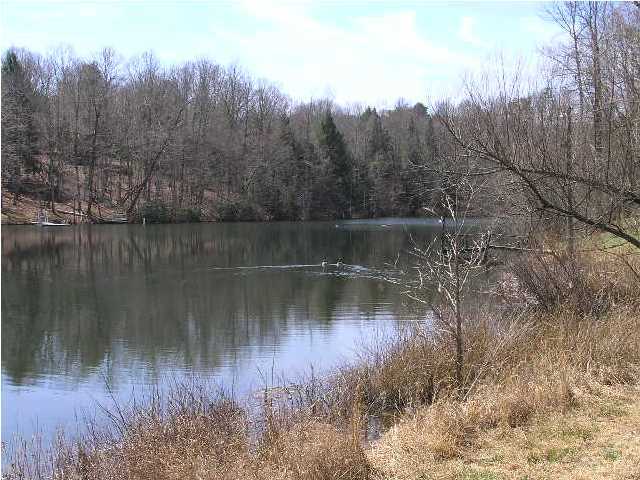 2006 Poe Road Soddy Daisy, TN 37379 - Photo 3 of 14 Additional Photo