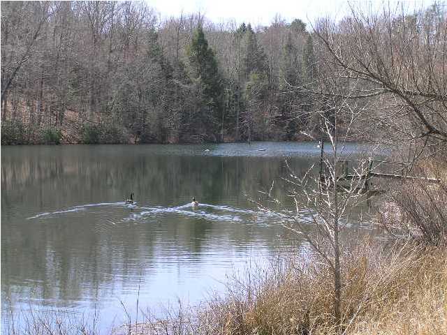 2006 Poe Road Soddy Daisy, TN 37379 - Photo 6 of 14 Additional Photo