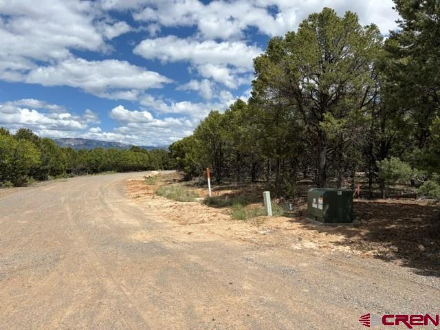 Lot 4 Tower Road Ridgway, CO 81432 - Photo 4 of 14