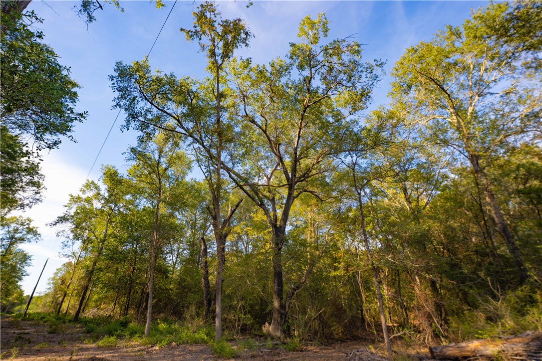 12416 Red Hill Road Hearne, TX 77859 - Photo 2 of 15 Gallery Image 2
