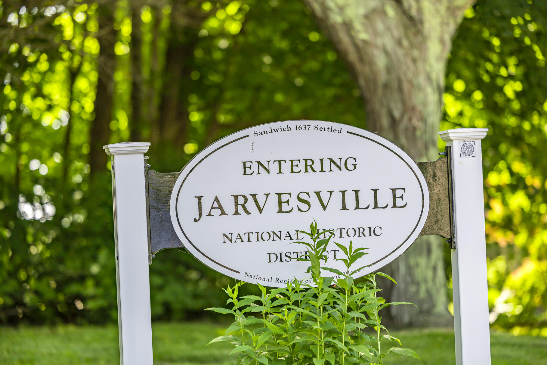 5 Canary Street Sandwich, MA 02563 - Photo 41 of 45 a sign in front of a tree