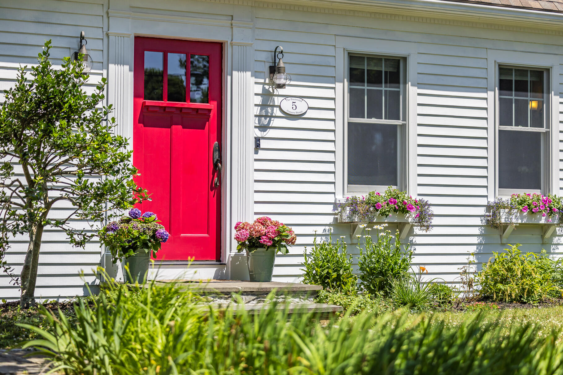 5 Canary Street Sandwich, MA 02563 - Photo 5 of 45 a flower plants in front of a house