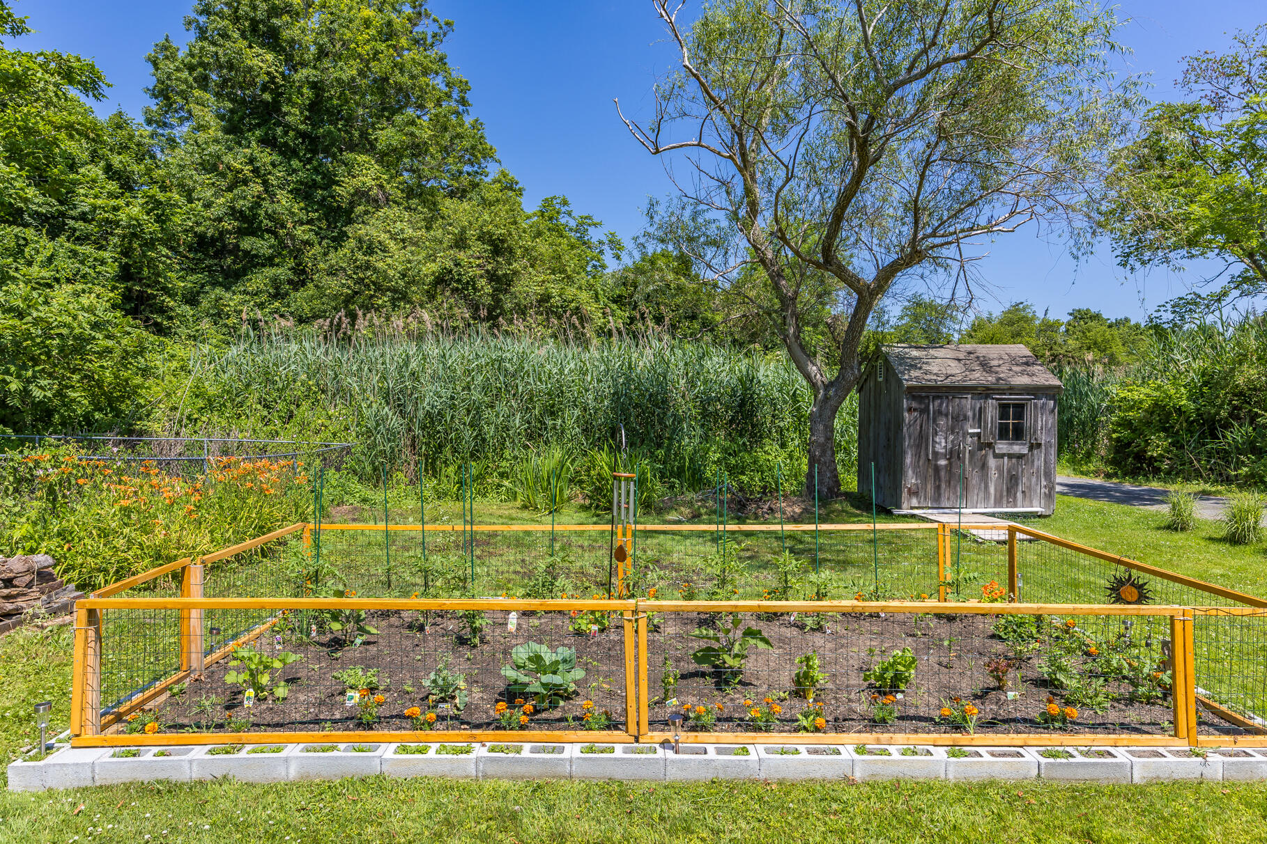 5 Canary Street Sandwich, MA 02563 - Photo 7 of 45 a view of a swimming pool